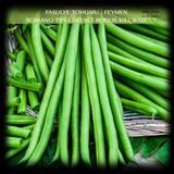 Zencefil Organik Feymen Fasülye Tohumu 1 Kg. (2500+ Adet) Kılçıksız Erkenci Bodur Fasulye Tohumu
