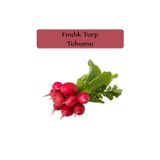 Zencefil Organik Fındık Turp Tohumu 1 Paket Turp Tohumu Fındık Turp Kapalı Paket Yüksek Verimli Tohum