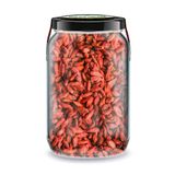 Zencefil Organik Goji Berry Bi Kavanoz 660 cc. Cam Kavanozda Katkısız Kuru Goji Berry Üzümü Pure Dried Goji Berries