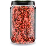 Zencefil Organik Goji Berry Bi Kavanoz 660 cc Cam Kavanozda Katkısız Kuru Gojiberry Üzümü Pure Dried Goji Berries - 1 Adet