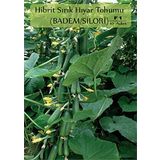 Zencefil Organik Hibrit Salatalık Tohumu 10 Adet Badem Hıyar Tohumu F1 (Badem-Silor)