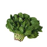 Zencefil Organik Ispanak Tohumu 1 Paket (10Gr=950+ Adet) Matador Ispanak Tohumu