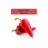 Zencefil Organik Kapya Biber Tohumu 1 Paket (10Gr=1000+ Adet) Yağlık Kapya Biber Tohumu