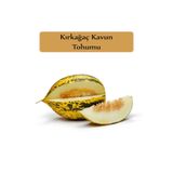 Zencefil Organik Kavun Tohumu 1 Paket Kırk Ağaç Kavun Tohumu Kapalı Paket Yüksek Verimli Tohum Sarı Kavun Kırkağaç