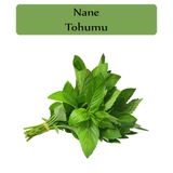 Zencefil Organik Nane Tohumu 1 Paket (0,02Gr)