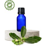 Zencefil Organik Organik Tamanu Yağı 20 Ml. Saf Soğuk Pres - 123
