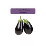 Zencefil Organik Patlıcan Tohumu 1 Paket (10Gr=2000+ Adet) Topan Patlıcan Tohumu