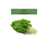 Zencefil Organik Pazı Tohumu 1 Paket Kapalı Paket Yüksek Verimli Tohum