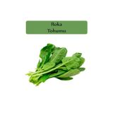 Zencefil Organik Roka Tohumu 1 Paket Kapalı Paket Yüksek Verimli Tohum Roka Bitki Tohumu