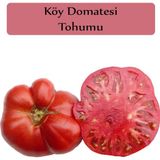 Zencefil Organik Tohumu 1 Paket Domates Tohumu Kapalı Paket Yüksek Verimli Tohum Köy Domatesi