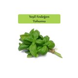 Zencefil Organik Yeşil Reyhan Tohumu Yeşil Fesleğen 1 Paket (3Gr=100+ Adet) Fesleğen Tohumu