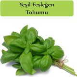Zencefil Organik Yeşil Tohumu Yeşil Fesleğen 1 Paket Fesleğen Tohumu Kapalı Paket Yüksek Verimli Tohum Reyhan