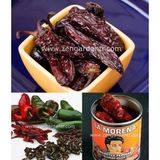 Zengarden Chipotle Jalapeno Tohumu Acı Biber Geleneksel - 1 Adet