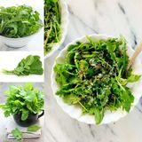 Zengarden Ege Roka Tohumu Atalık Yerli Roka (ORT.600 Tohum) - 1 Paket