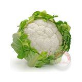 Zengarden Erkenci Kartopu Karnabahar Tohumu Brassica Oleracea