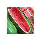 Zengarden Ev Ve Bahçe Jübile Karpuz Tohumu Geleneksel Jubilee Watermelon Seeds