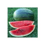 ZENGARDEN EV VE BAHÇE Kongo karpuz tohumu en tatlı karpuz congo watermelon seeds