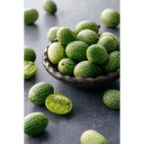 ZENGARDEN EV VE BAHÇE Turşuluk Meksika Salatalığı Gherkin Tohumu Melothria Scabra