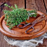 Zengarden Fransız Yaz Kekiği Tohumu Aromatik Kekik Thymus Vulgaris French Summer Thyme Seeds - 1 Paket