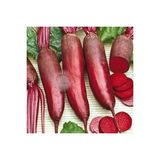 Zengarden Kırmızı Silindir Pancar Tohumu Geleneksel Beet Cylindra Beta Vulgaris - 1 Paket