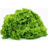 Zengarden Kıvırcık Marul Tohumu Atalık Geniş Yapraklı Green Ice Lettuce - 1 Paket