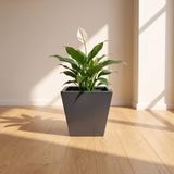 Zenith 30 cm Dikey Metal Saksı - İç ve Dış Mekan Modern Dekoratif Saksılık (30x30/20 cm)