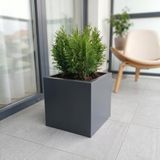 Zenith 30 cm Kare Küp Metal Saksı – İç & Dış Mekan Modern Dekoratif Saksılık (30x30x30 cm)