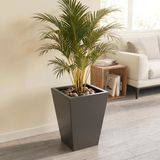 Zenith 40 cm Dikey Konik Metal Saksı – Iç ve Dış Mekan Modern Dekoratif Saksılık (40×30/20 Cm) (Antrasit) - Standart
