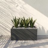 Zenith 50x20 cm Yatay Dikdörtgen Saksılık - İç & Dış Mekan Modern Metal Saksı (50x20x20 cm) (Antrasit)