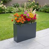 Zenith 80x20x60 cm Metal Dikdörtgen Saksılık - İç ve Dış Mekan Modern Saksı (Antrasit)
