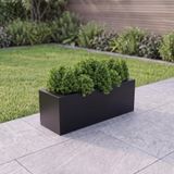Zenith 80x25x30 cm Metal Yatay Dikdörtgen Saksılık - İç ve Dış Mekan Modern Saksı (Siyah)