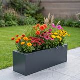 Zenith 97x25x30 cm Yatay Dikdörtgen Saksılık - İç & Dış Mekan Modern Metal Saksı (Antrasit)