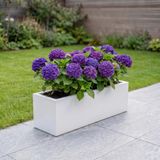 Zenith 97x25x30 cm Yatay Dikdörtgen Saksılık - İç & Dış Mekan Modern Metal Saksı (Beyaz)