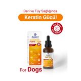zentiavet B Complex Köpekler için Tüy Dökülmesi Azaltıcı, Tüy Döküm Önleyici Tüy Damla Köpek Vitamini 50ml