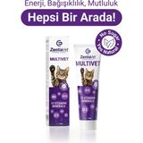 ZentiaVet Multıvet Malt Pasta 100 gr Kedi Sağlığı İçin Vitamin ve Mineral Desteği