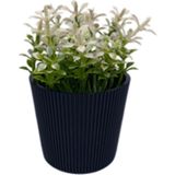 Zenvia Çizgili Yuvarlak Saksı Çiçek ROYALEKS-5706 (ZNV-556) - Renkli
