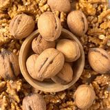 Zenvia Kabuklu Ceviz 1000 gr (1 Kg) - 1 Adet