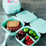 Zenvia Porky 4 Bölmeli Çatallı Beslenme Kabı - G400 (ZNV-556) - Renkli - 1