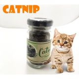 Zenviaa Catnip Doğal Kedi Otu - Kedi Nanesi Zenviaadd - Alabalık