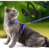 Zenviaa Kedi Tasması Zenviaae - 1 lt - Renkli