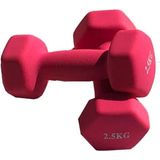 Zepca Ithal Fitness Pembe Dambıl 2 x 2,5 kg Neopren Kaplama Kaymaz ve Çevre Dostu