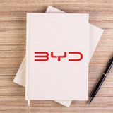 Zepplin Giyim Byd Logo Text Red Krem Çizgisiz Kanvas Defter Çizgisiz - 14x21 cm