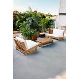 Zerkaconcept Conforlove Bahçe Masif Kestane Ahşap Koltuk Takımı 1+1+Sehpa Krem