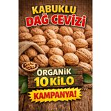 zernut Kabuklu Ceviz Organik Dağ Cevizi 10 Kilo