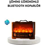 Zero Land Lvsqvr Şömine Efektli Solar Hoparlör Bluetooth 5.3 Radyo Aux USB Tf Destekli - Renkli