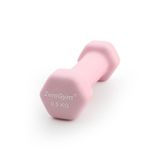 Zerogym Neopren Kaplı İçi Demir Dambıl 0,5 Kg