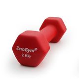 Zerogym Neopren Kaplı İçi Demir Dambıl 2 kg Kırmızı 1 Adet