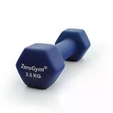 Zerogym Neopren Kaplı İçi Demir Dambıl 2,5 kg Mavi 1 Adet