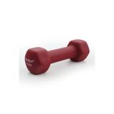 ZEROGYM Neopren Kaplı İçi Demir Dambıl dumble 1,5 KG