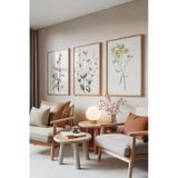 Zestia Ahşap Çerçeveli 3’lü Tablo Seti, Botanik Çiçek Çizimi – Soft Renkler, Salon Set No: 30124 30 x 40